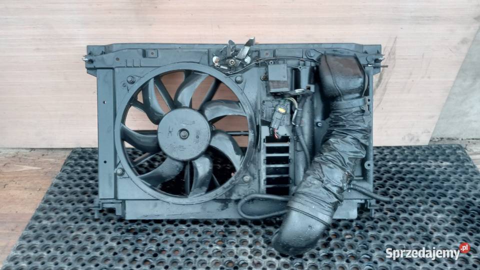 PEUGEOT 307 FL 20 HDI PAS PRZEDNI KOMPLET Zbierkowo