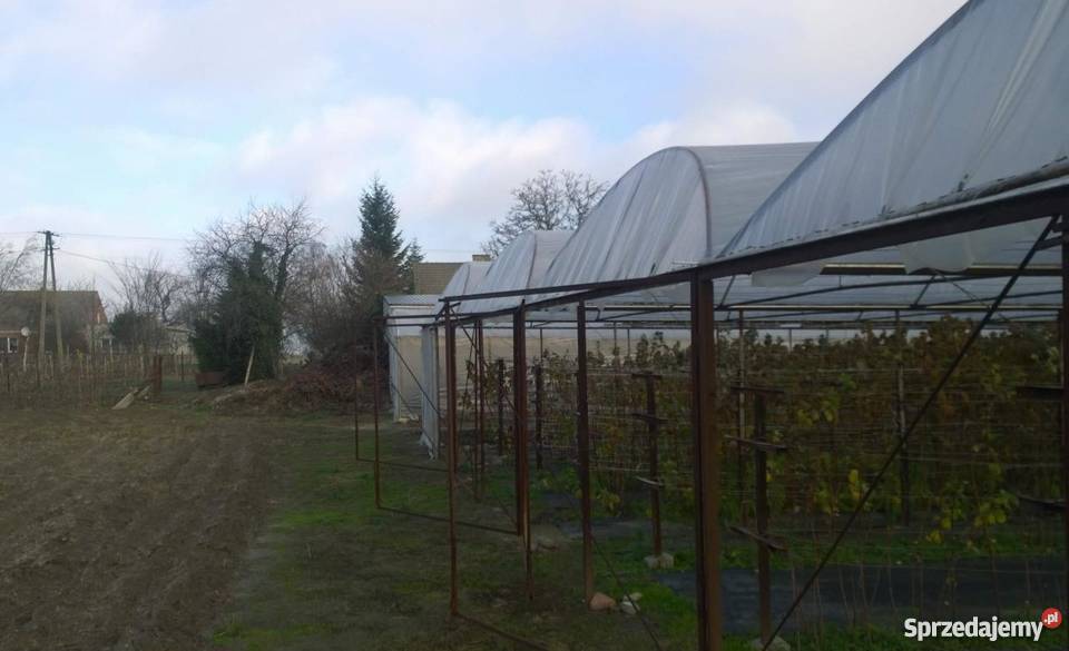 dom do sprzedania Czerniejewo 240m 900zł/m2 Nieruchomości