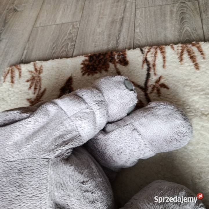 miś maskotka pluszak słoń Poznań