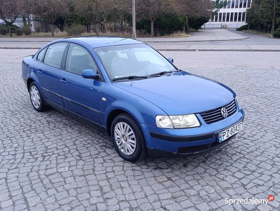 Pastuch TDI opłaty długo wielkopolskie Śrem