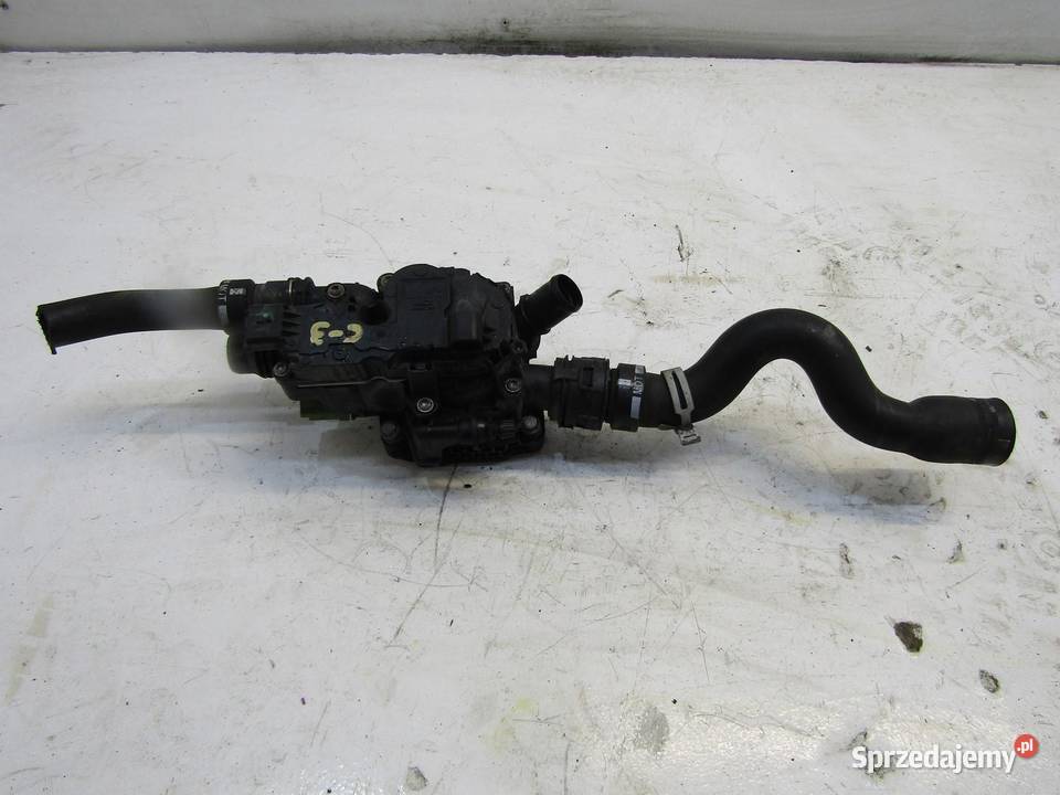 TERMOSTAT OBUDOWA CITROEN C3 III 1102626S01 Osłony i zaślepki sprzedam