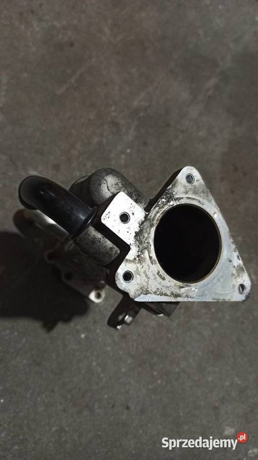 Chłodnica spalin EGR Hyundai i40 17crdi osobowe Dębica