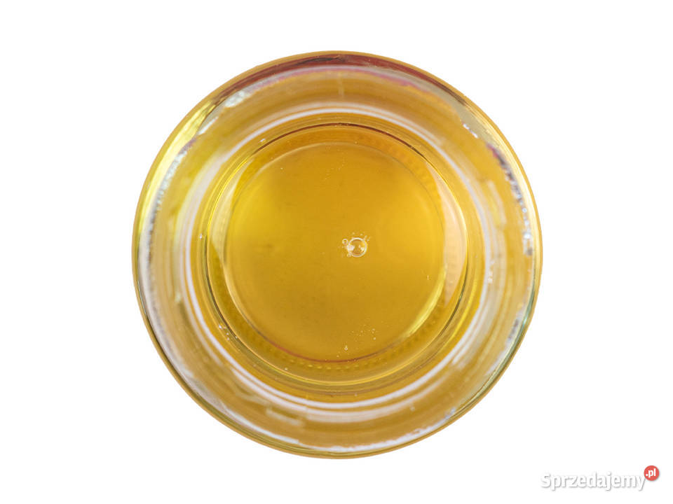 BIO syrop z agawy jasny 1100 gram FIVIO