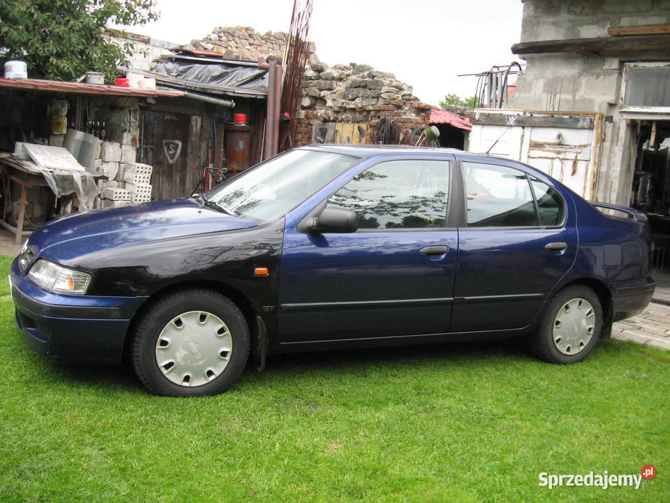 lampy przod nowe nissan primera p11 Janów Lubelski