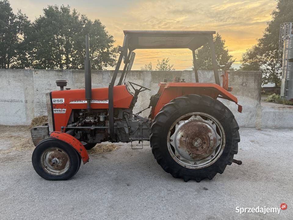 Massey ferguson 255 ursus Tczów