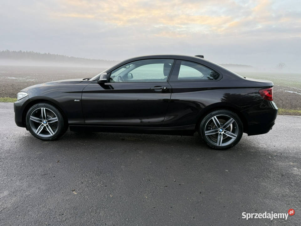 BMW 220 20i 184 68 B48 Bezwypadkowy Navi nieuszkodzony BMW Ocice
