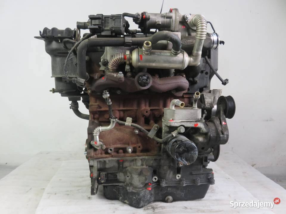 SILNIK FORD FOCUS MK2 II 18 TDCi 115 KKDA osobowe