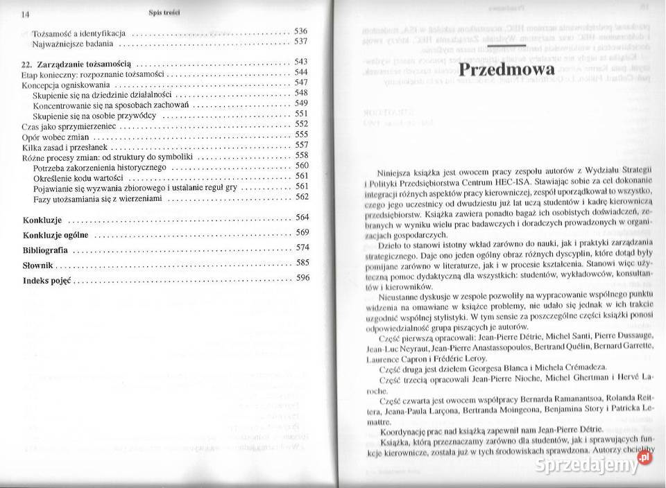 Zarządzanie firmą Strategie struktury decyzje