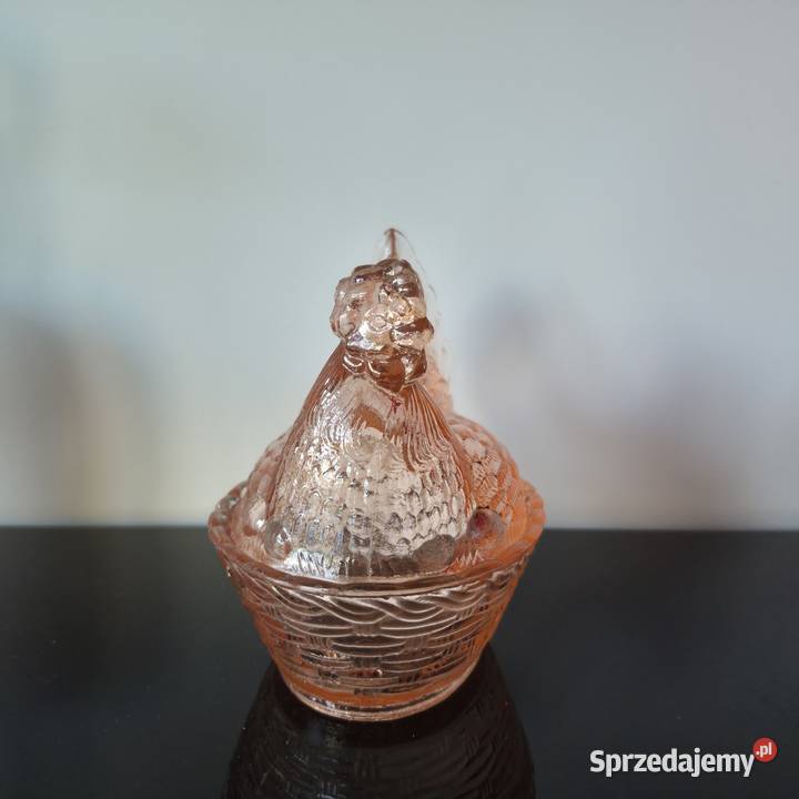 Kura Ząbkowice Tychy sprzedam