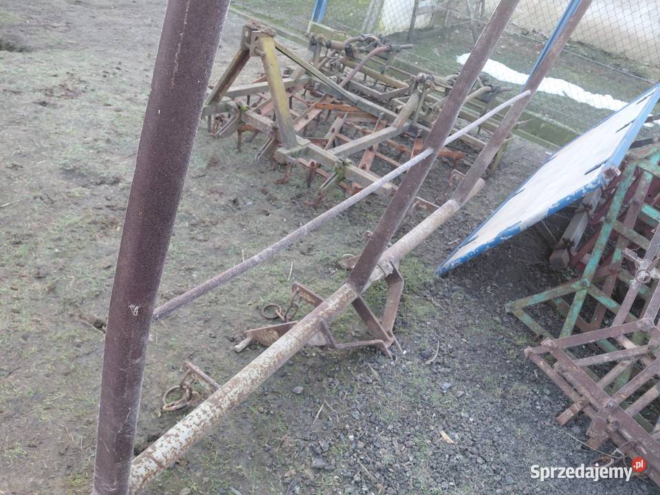 Brony 3 Grudziądz małopolskie Uszew