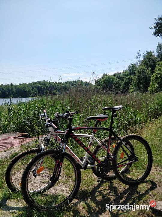 Rower MTB LEA F3 Hexagon X3 śląskie Mikołów