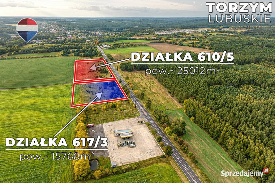 Na sprzedaż 2 działki z potencjałem Torzym sprzedam