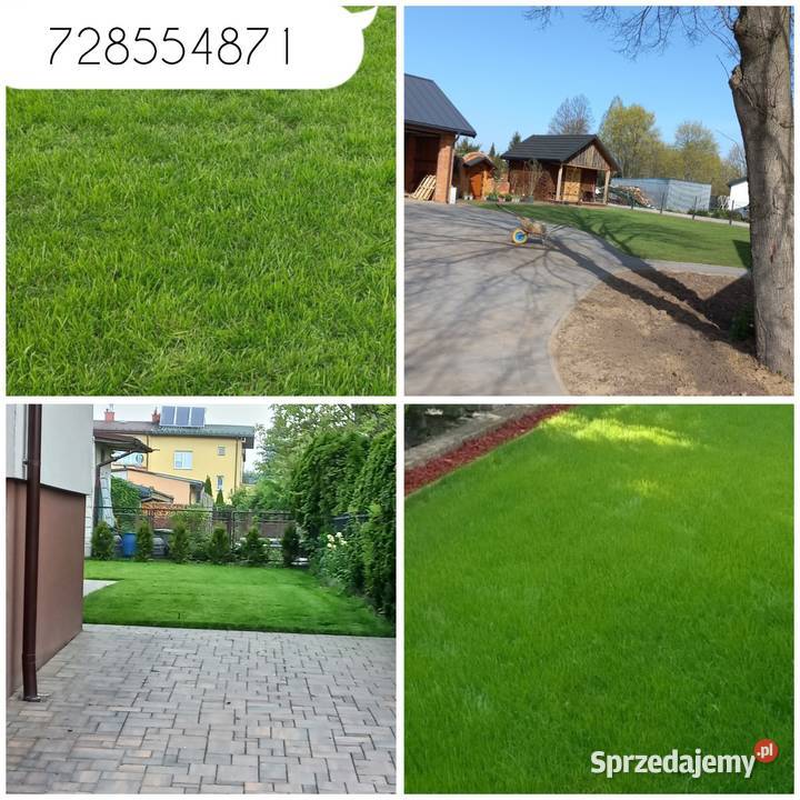 PRZYGOTOWANIE TERENU UPRAWA MARKUSZÓW Markuszów ogród