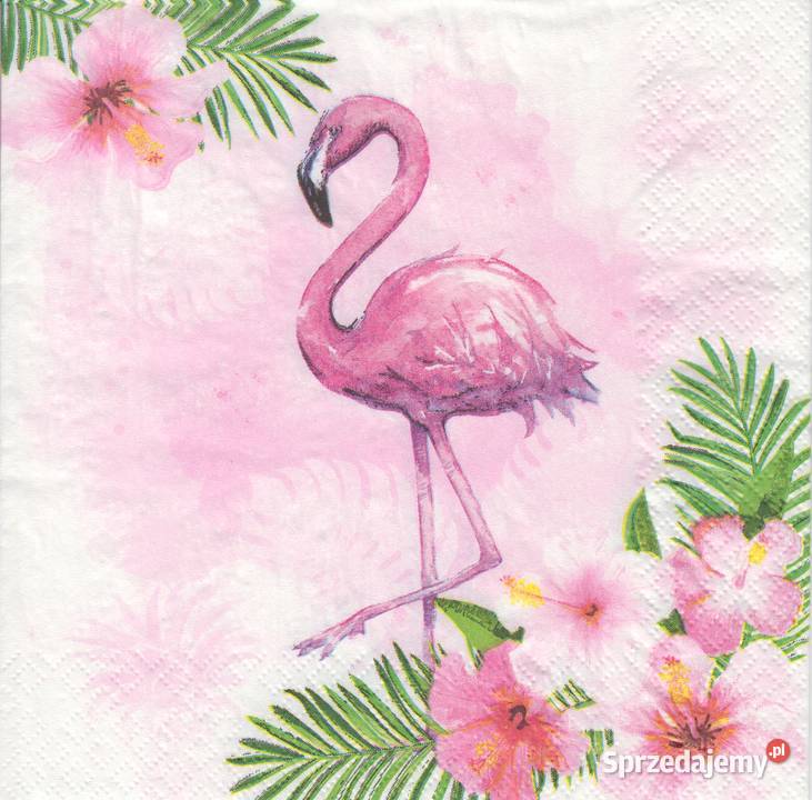 Dekupaż decoupage serwetki ptaki ptaszki sowa Skarżysko-Kamienna