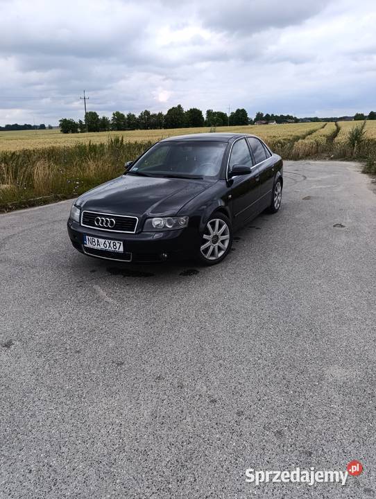 Audi A4 b6 A4 Bartoszyce