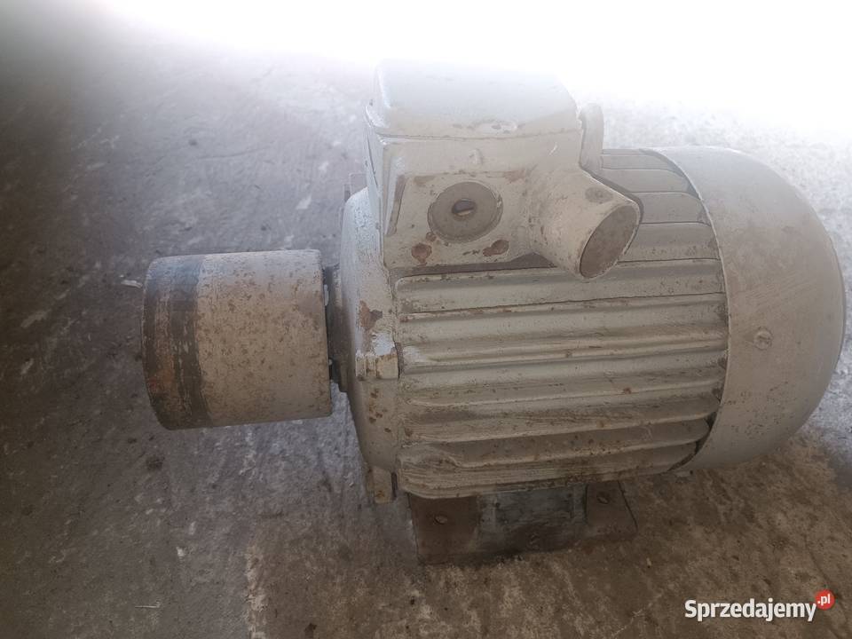 Sprzedam silnik elektryczny z wózkiem wielkopolskie