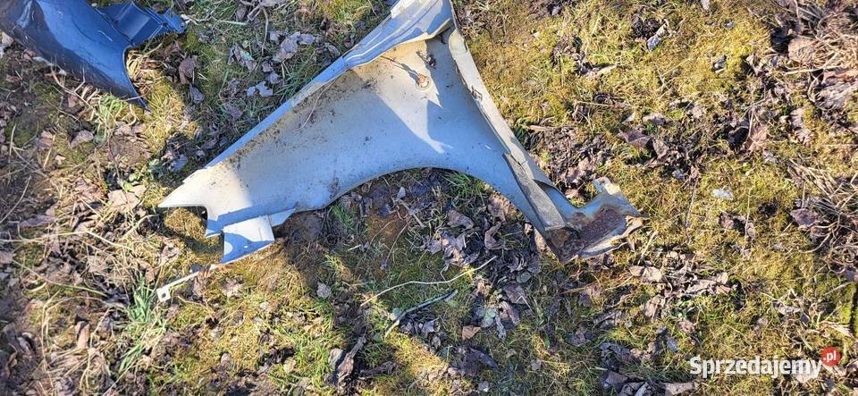 Błotnik Prawy Lewy Punto 2 FL Żabno