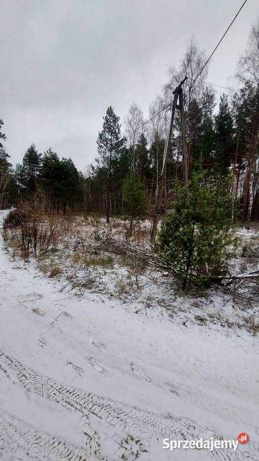 Działka rekreacyjna w lesie Ogrójce sprzedam