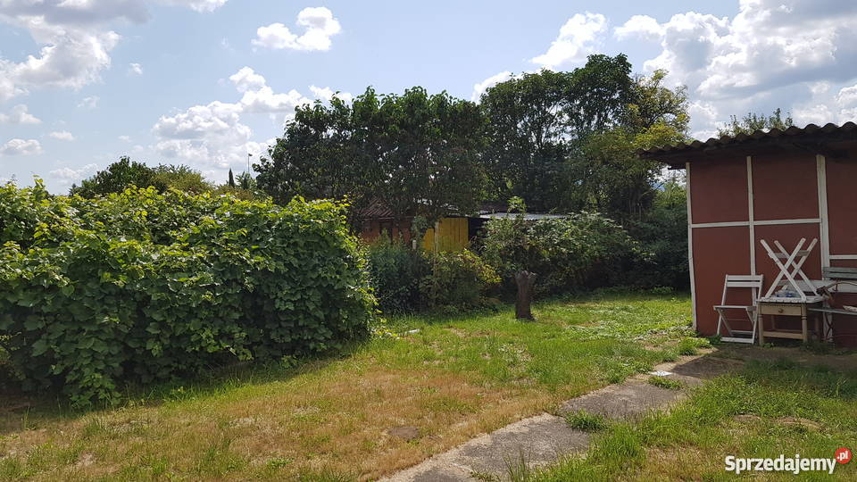 Sprzedam działkę rekreacyjną Głuchołazy