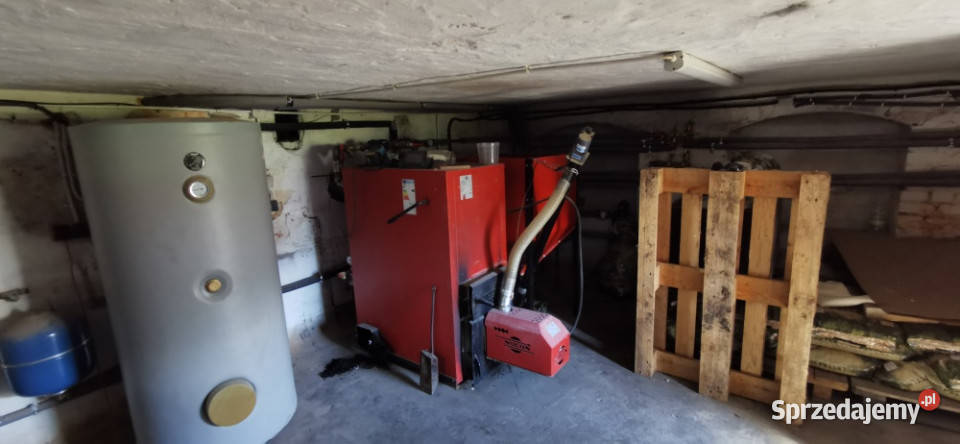 Przepiękny dom z duszą piwnica Sprzedaż Trzciel