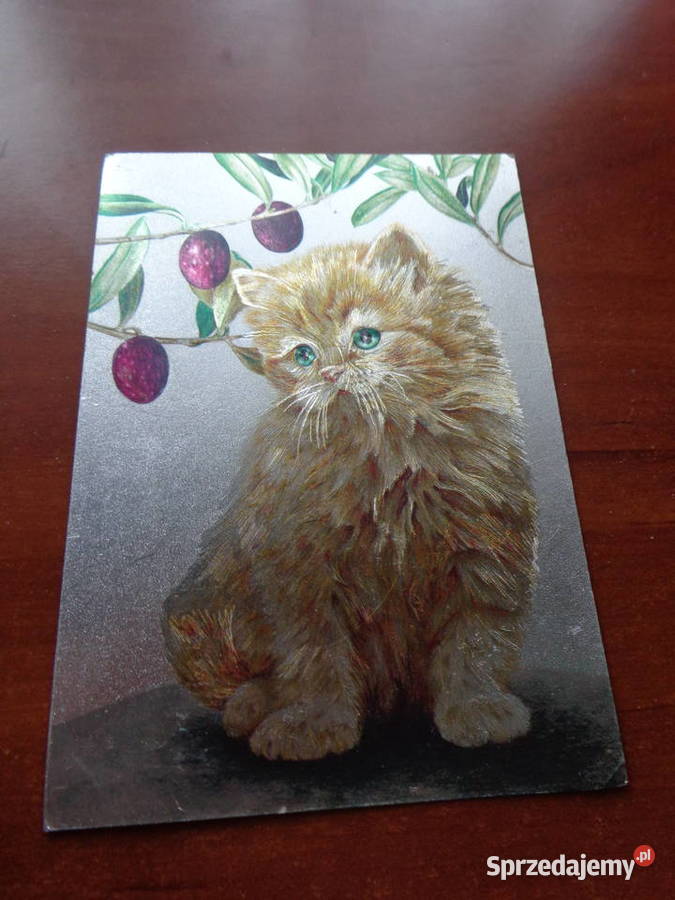 pocztówka błyszcząca czysta Poznań