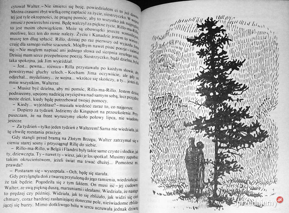 Rilla ze Złotego Brzegu Lucy Maud Montgomery Pozostałe lubelskie