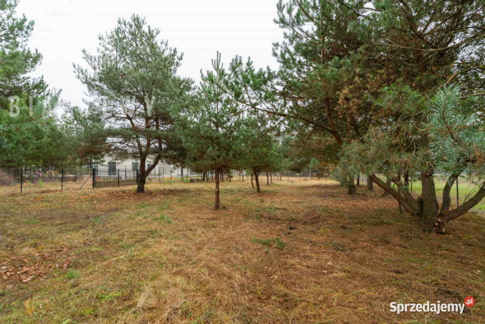 Grunt 934m2 Jachranka inwestycyjna