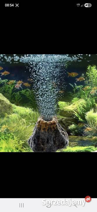 Napowietrzacz do akwarium Łódź