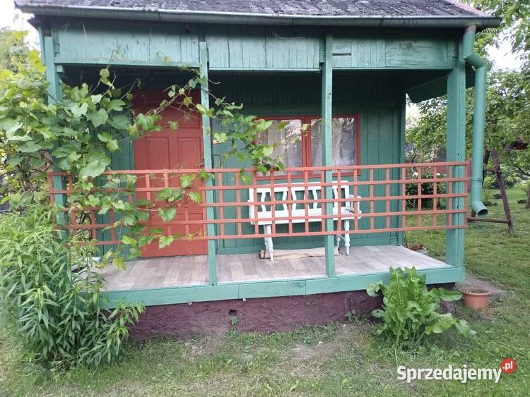 Działka ogrodowa SZAROTKA Ełk