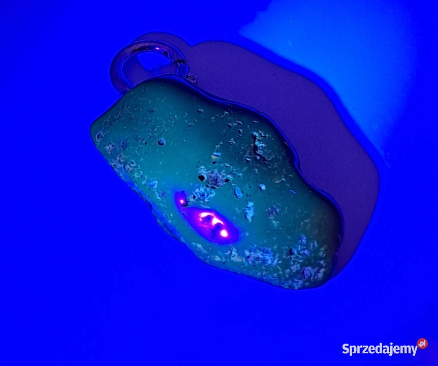 Zawieszka wisiorek z bursztynu BURSZTYN bałtycki Warszawa