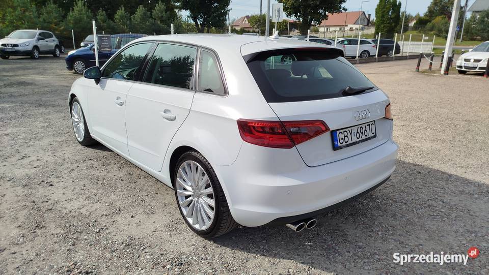 Audi A3 20 TDI 150 Serwis Bezwypadkowy Stan Bytów