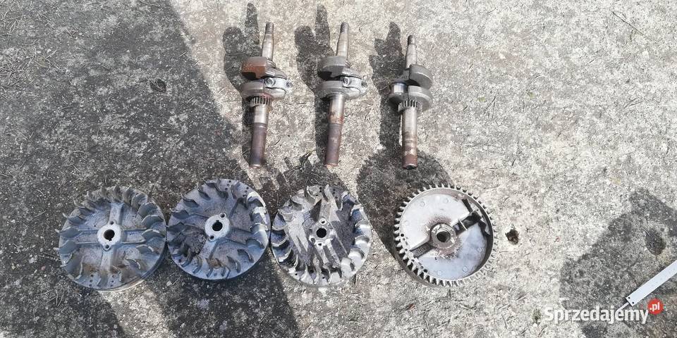 Wał briggsstratton koło magnesowe briggsstratton Kady