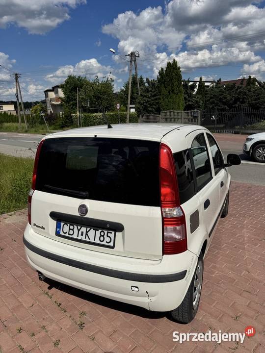 Fiat Panda Zgierz