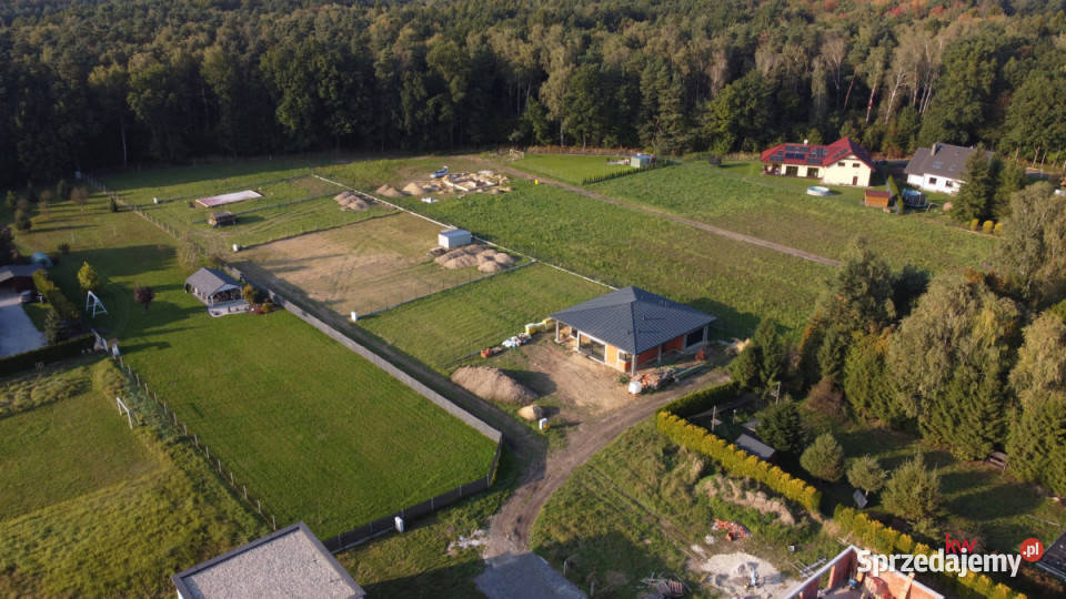 Działka Orzesze Pasieki 702m2