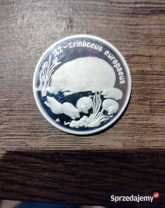 Srebrna Moneta kolekcjonerska 20 z 1996r Jeż sprzedam