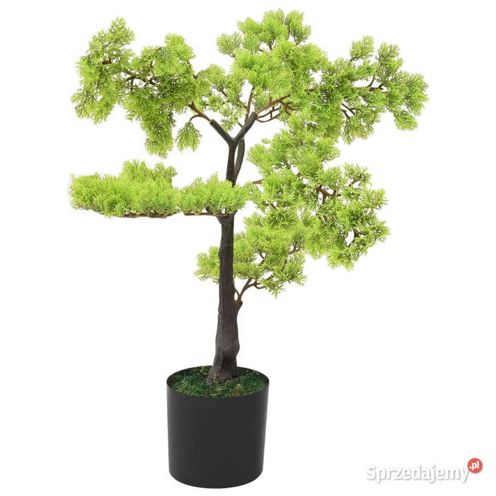 Sztuczne bonsai z cyprysu z doniczką 60 zielone Warszawa