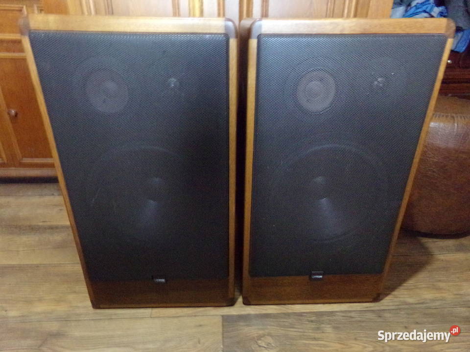 Kolumny Canton CT 1000 w stanie