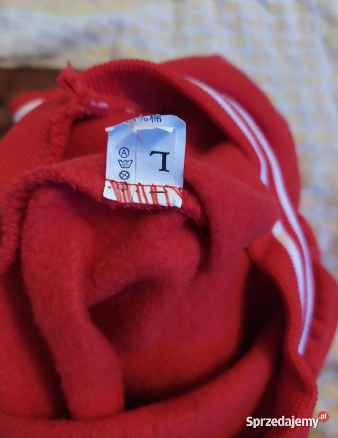 Ubranko pieska Ostrowiec Świętokrzyski