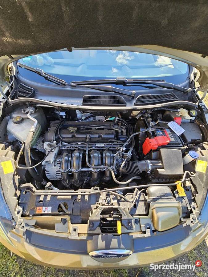 Ford Fiesta 4/5 Stargard