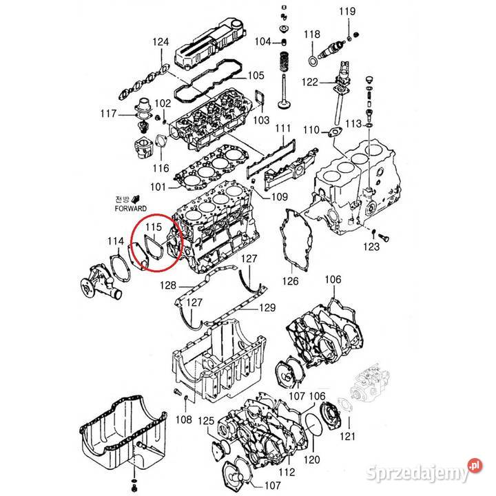 Uszczelka pompy wody LS U43LS U50LS U60 EGQ135 podkarpackie Tajęcina sprzedam