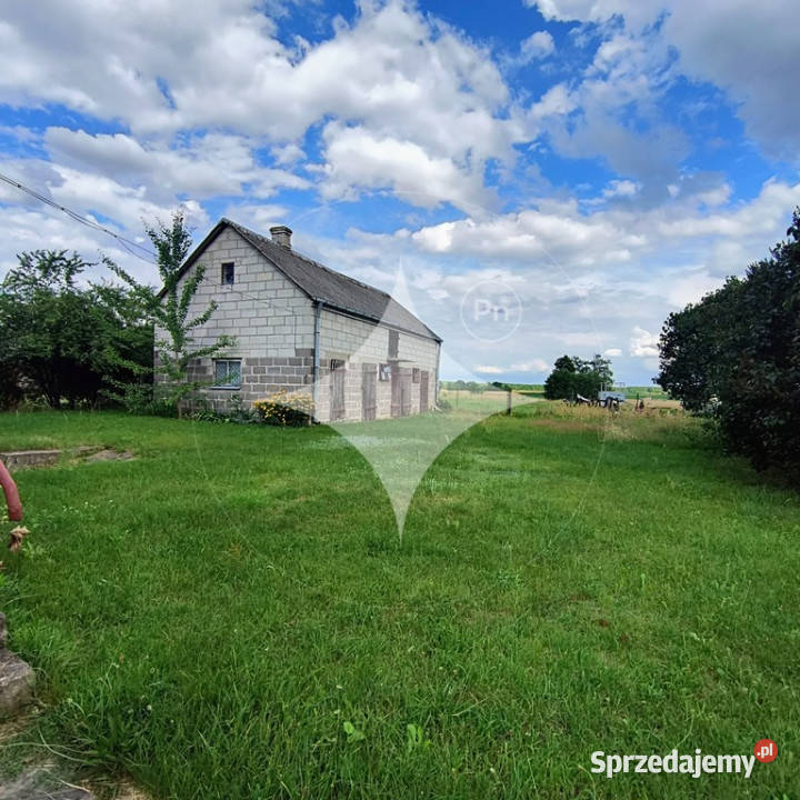 Siedlisko w malowniczym Kodniu powiat bialski Rok budowy 1987 Kodeń