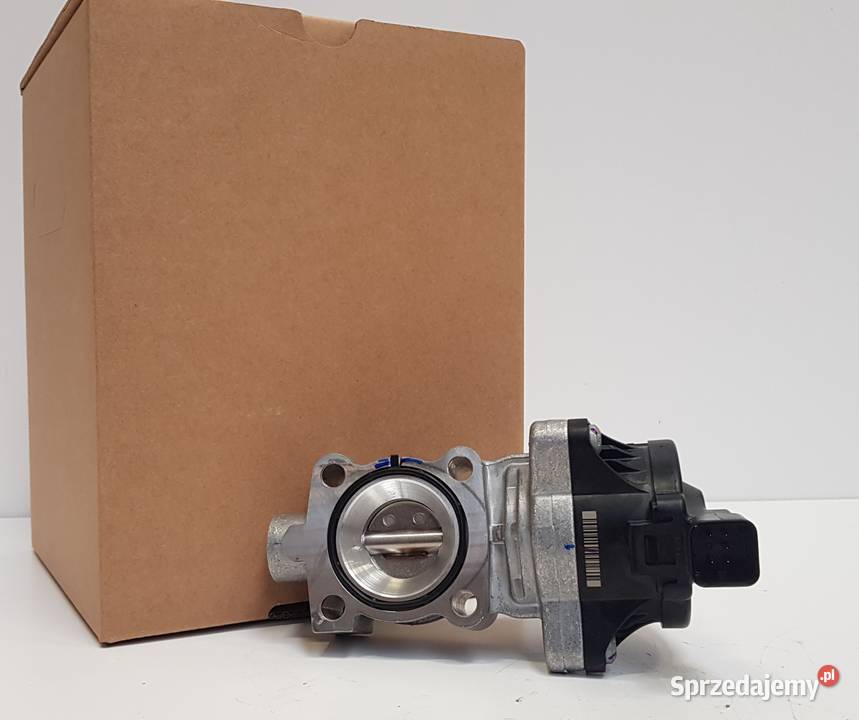 Nowy zawór EGR BORGWARNER 3653006 3653006 Siedlce sprzedam