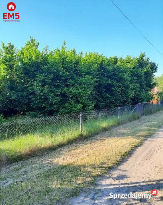 Działka 4800m2 Narew