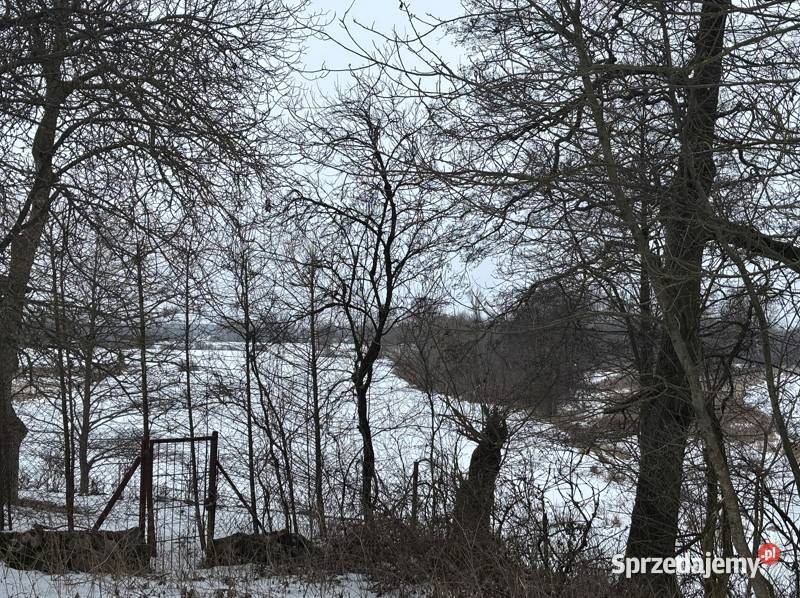 Wyjątkowa działka 8900 m z własnym lasem Bugiem Sprzedaż Bojany sprzedam