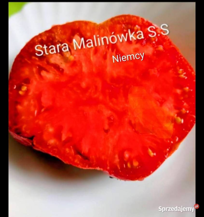 Stara Malinówka Babcina SS Niemcy Katowice