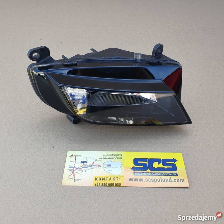 AUDI A3 A4 HALOGEN 1NE01083205 Oświetlenie Bieleń