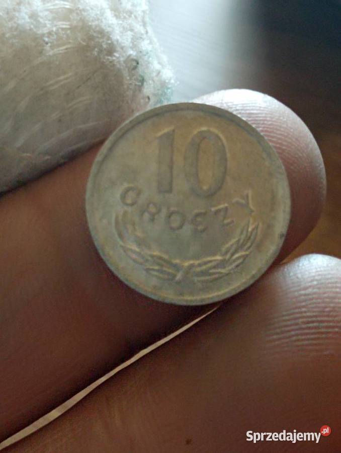 Sprzedam 10 gr 1967 r zzm Chełm