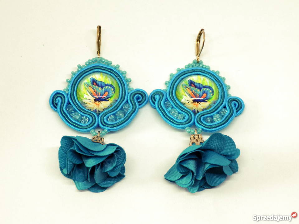 BŁĘKITNY MOTYL SUTASZ mazowieckie Warszawa