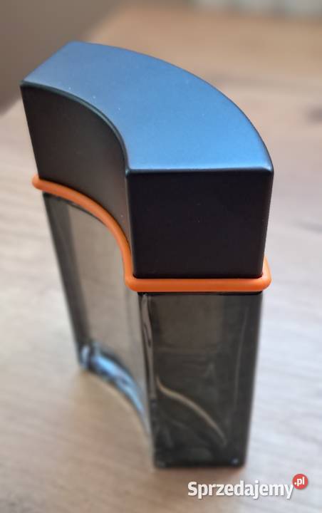 TOUS Intense 100 ml Dla mężczyzn