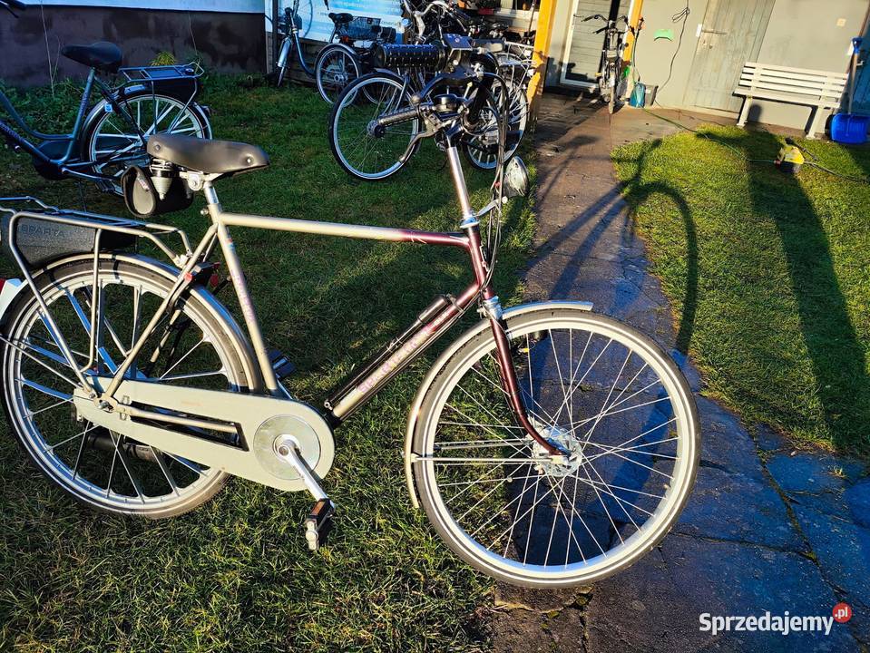 Rower z silnikiem pomocniczym Sachs Spartamet sprzedam